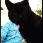 5c8af357230000040123f5e3