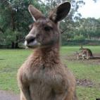 5c8af357360000e01c6c525a