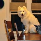 5c8af3582500000704c9e658