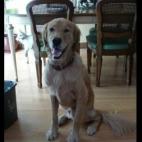 5c8af3582500001304c9e65a