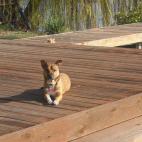 5c8af3592000009e04700053