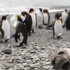 5c8af35b2400006b054cb59b