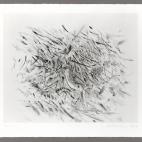 JULIE MEHRETU "HAKA"