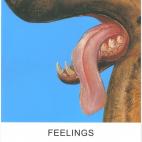 JOHN BALDESSARI "FEELINGS"