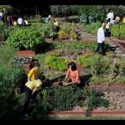 "Las verduras saben aún mejor si las plantas tú mismo", ha escrito la primera dama.
