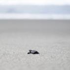 Reportaje gráfico de Ulises Rodríguez.