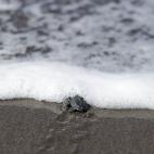 5c8b6f9e2400006c05a4b5c9