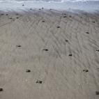 5c8b6f9f230000d50424b9d1