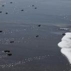 5c8b6f9f2500001304caa8c5