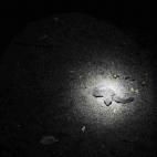 5c8b6fa022000030001ae6d0