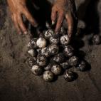 5c8b6fa022000031001ae6d2