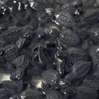 5c8b6fa02500000d04caa8cb