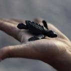 5c8b6fa13b000072066d949a