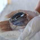 5c8acdd12400000a05a3b7e2