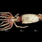 5c8a8a7d24000093024bfa8a