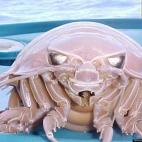 5c8a8a7d360000ba1a6b998e