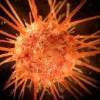 5c8a8a7f250000bd05814464