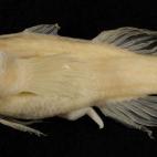 5c8a8a802400006c05a33447