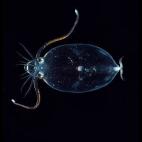 5c8a8a80360000c81a6b9990