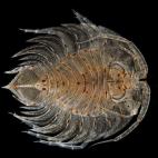 5c8a8a803b000054066c19b8