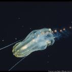 5c8a8a822300003000e6b163