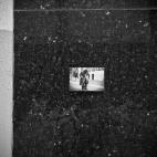 5c8b74a22500000704cab654