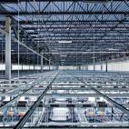 5c8b65ce2400004205a49d3b