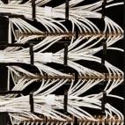 5c8b65d12400006d054d6099