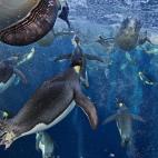 Ganador en la categoría "Mundos submarinos"