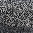 Ganador del premio Gerald Durrell Award sobre vida salvaje.