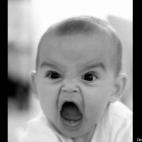 5c8b7955240000f404a4cf72