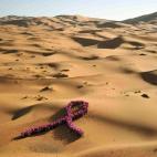 5c8ace5d3b000072066c9b55