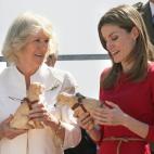 5c8aab6d230000d504237a81