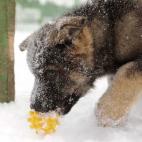 5c8ad3ca360000a61b6c24d8