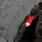 5c8ad3cb360000c81a6c24dc