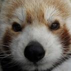 5c8ad3cb3b000002076ca5db