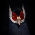 5c8ad3cd360000e01c6c24e2