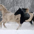 5c8ad3cd2300003000e73fa0