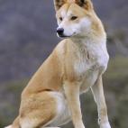 5c8ad3cd2300002f00e73fa2