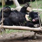 5c8ad3ce240000f404a3c326