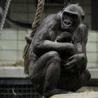 5c8ad3ce2400000a05a3c328