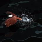 5c8ad3ce2300005300e73fa4