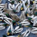 5c8ad3cf2500001304c9b8c3