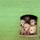 5c8ad3cf2400004205a3c32b