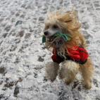 5c8ad3d02500000a0681d2f0