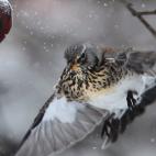 5c8ad3d12300005400e73fb2