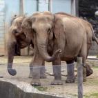 5c8ad3d12500000704c9b8c9