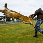 5c8ad3d22400004205a3c333