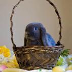 5c8ad3d32300005400e73fb8