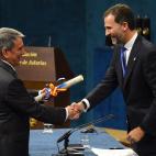 5c8acf2d2500000704c9b01f